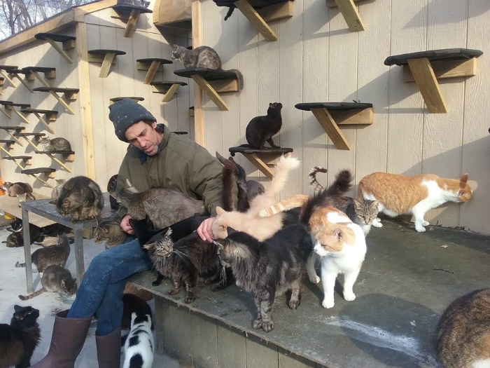 hombre con muchos gatos
