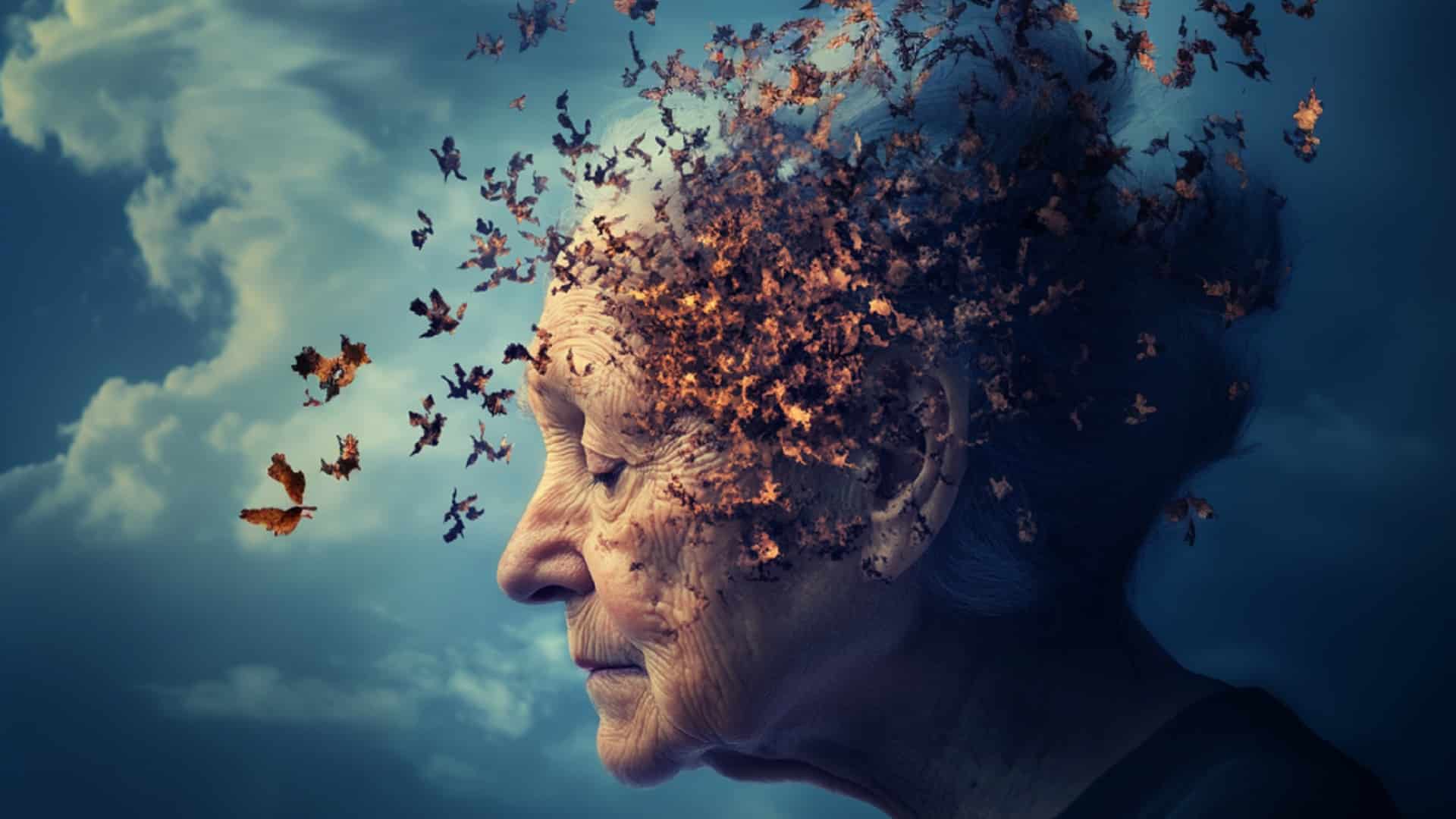 Alzheimer, colesterol y genética: ¿Destino biológico o consecuencia del estilo de vida?