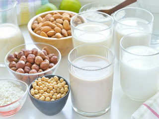 Alternativas leche animal