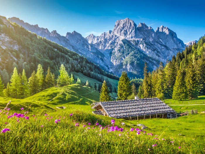 Los Alpes Suizos en Primavera (Euroresidentes)