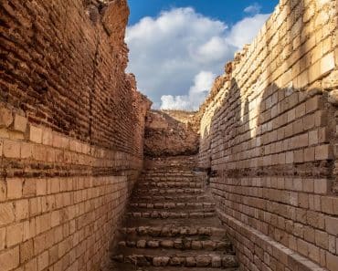 Guía Completa de Alejandría: Qué Ver, Hacer y Comer en la Ciudad Histórica de Egipto